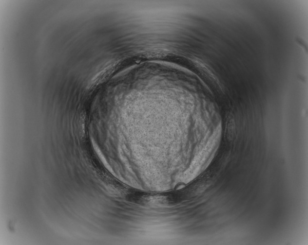 X0000101650501200807241358