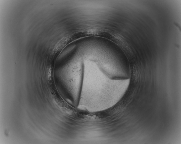 X0000101650502200807241358