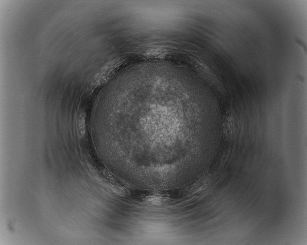 X0000101650504200807241358