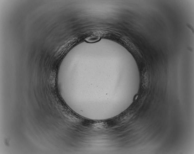 X0000101650505200807241358