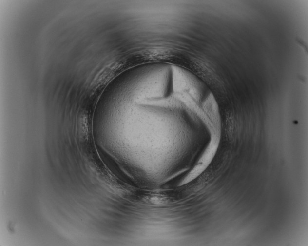 X0000101650506200807241358