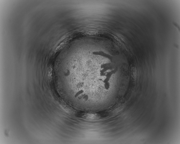 X0000101650507200807241358