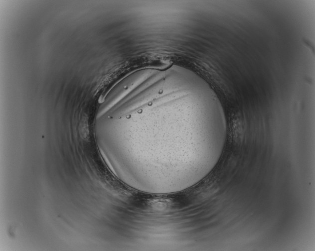 X0000101650508200807241358