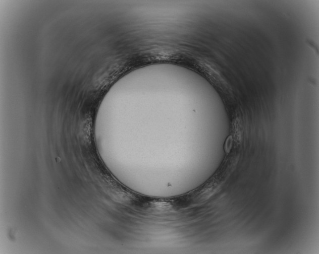 X0000101650509200807241358