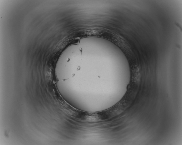 X0000101650510200807241358