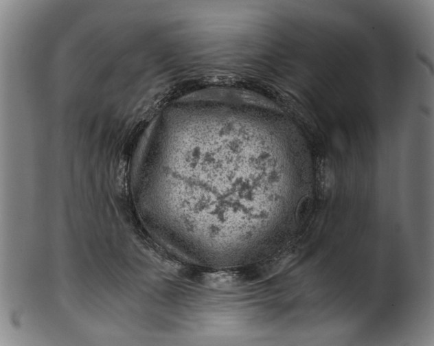 X0000101650511200807241358