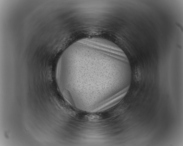 X0000101650512200807241358