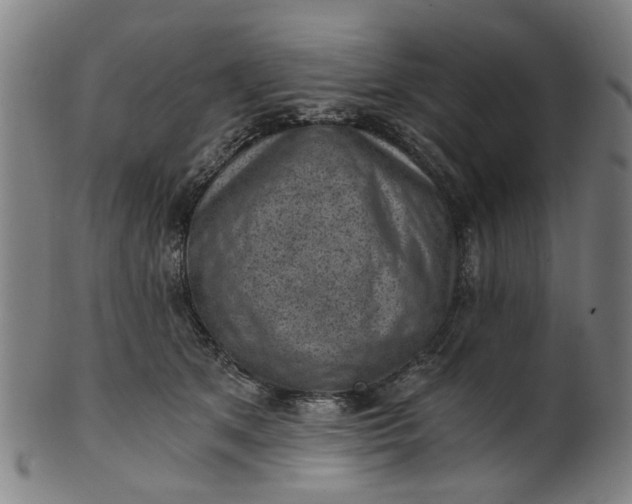 X0000101650513200807241358