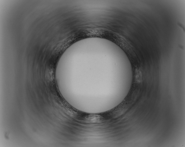 X0000101650514200807241358