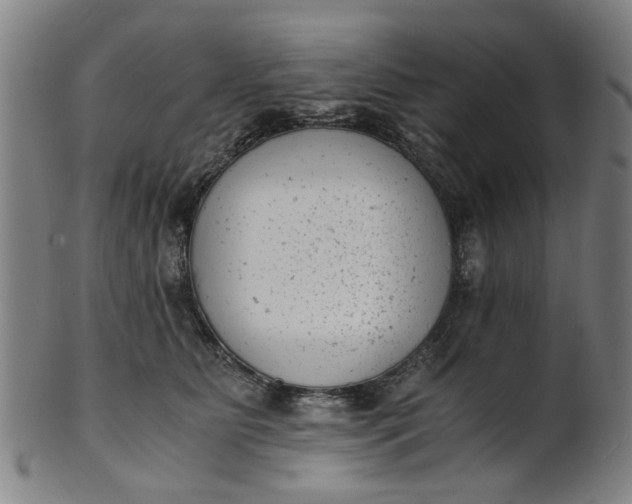 X0000101650515200807241358