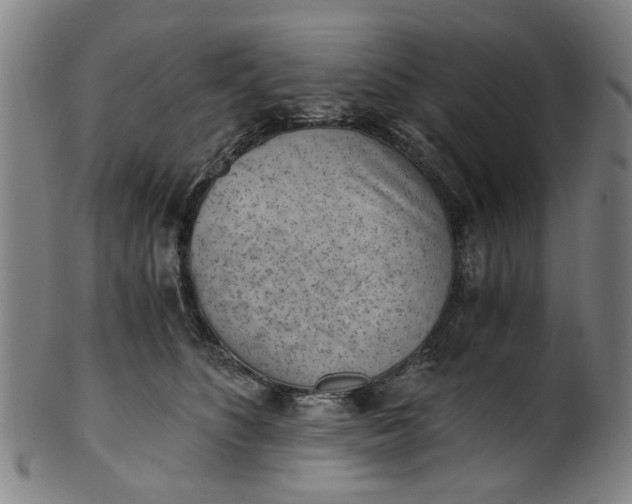 X0000101650516200807241358