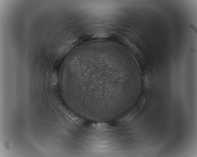 X0000101650517200807241358