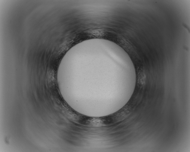 X0000101650518200807241358