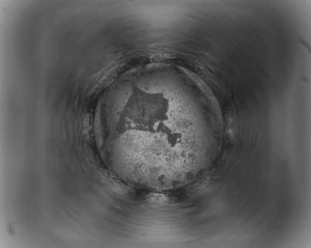 X0000101650519200807241358