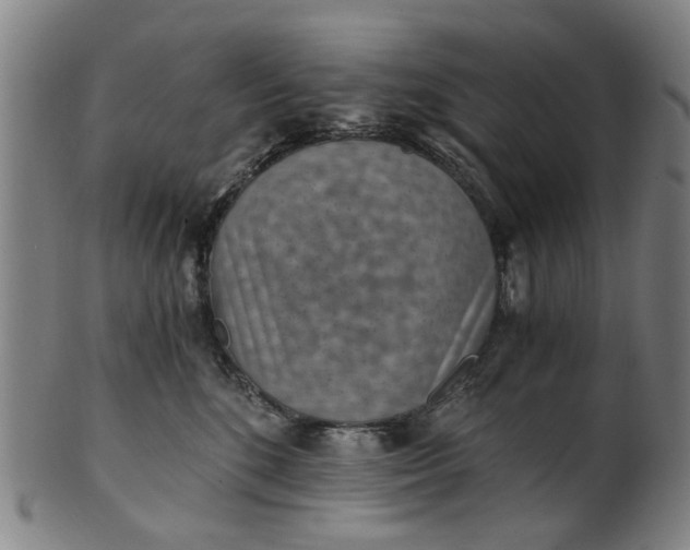 X0000101650520200807241358