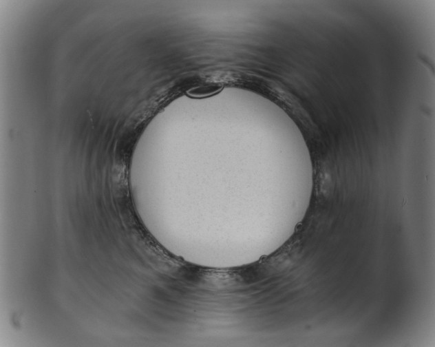 X0000101650521200807241358