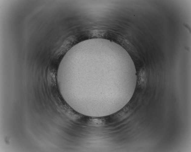 X0000101650522200807241358