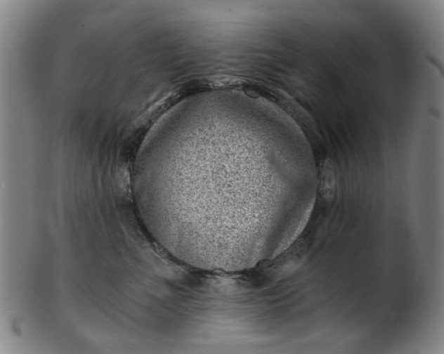 X0000101650523200807241358