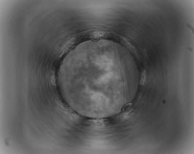 X0000101650524200807241357