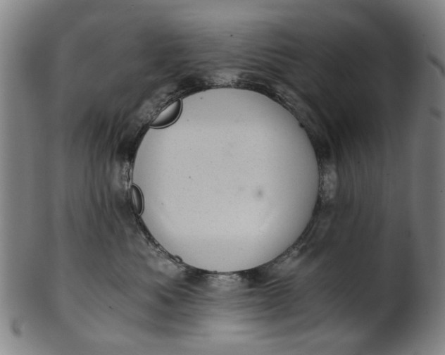 X0000101650525200807241357