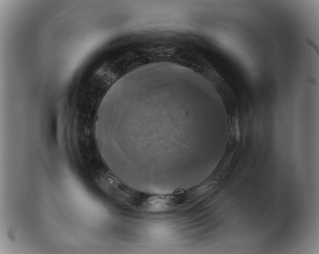 X0000101650526200807241357