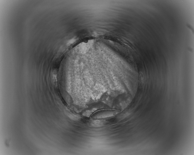 X0000101650527200807241357