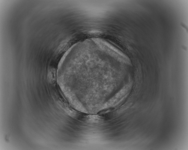 X0000101650528200807241357