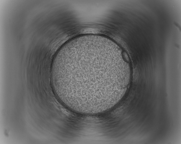 X0000101650529200807241357