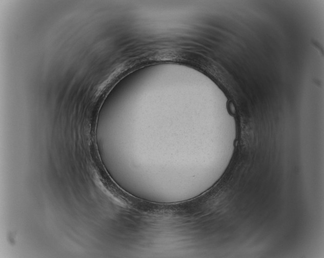 X0000101650530200807241357