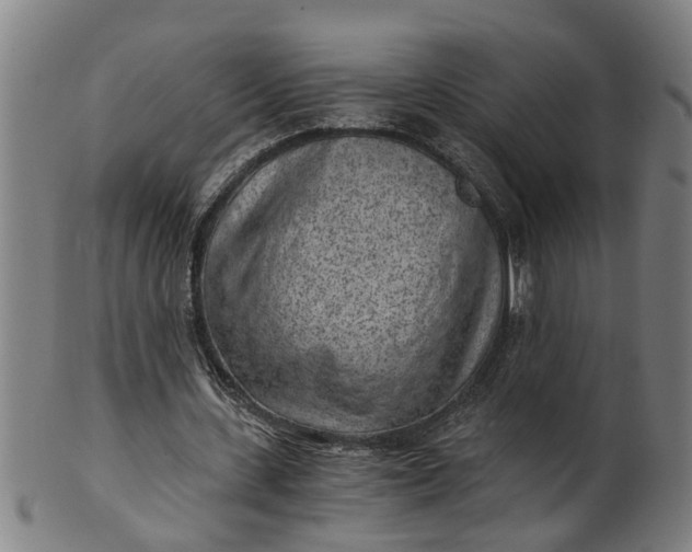 X0000101650531200807241357