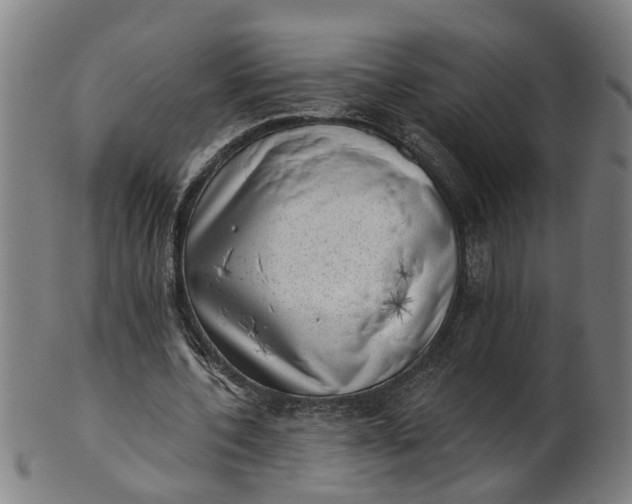 X0000101650532200807241357