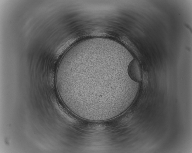 X0000101650533200807241357