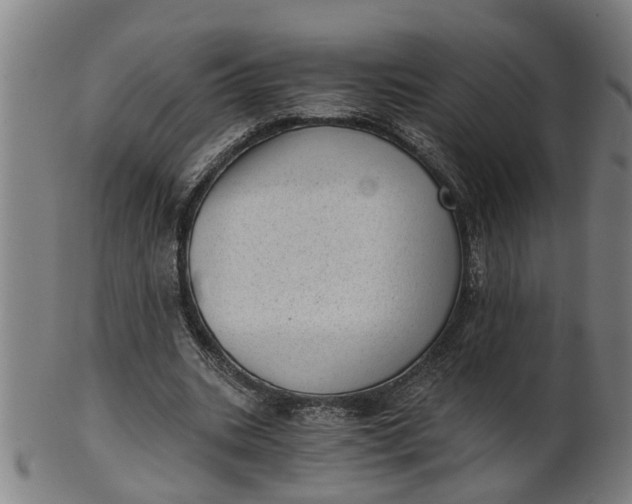 X0000101650535200807241357