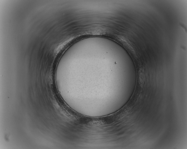 X0000101650536200807241357