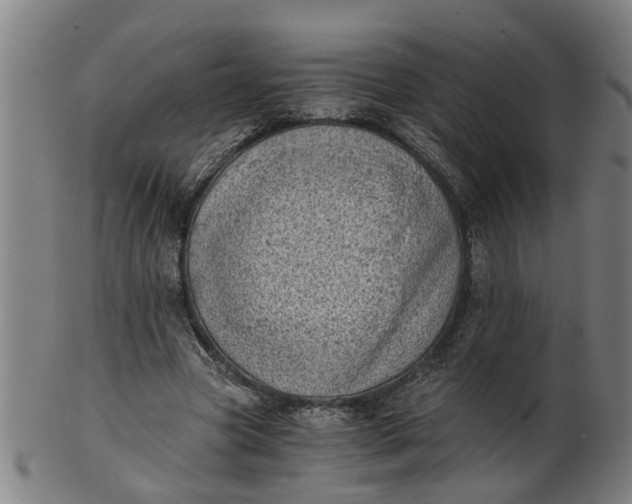 X0000101650537200807241357