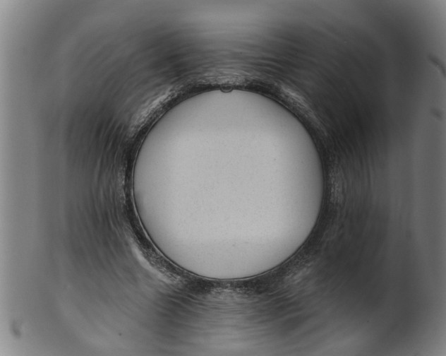 X0000101650538200807241357