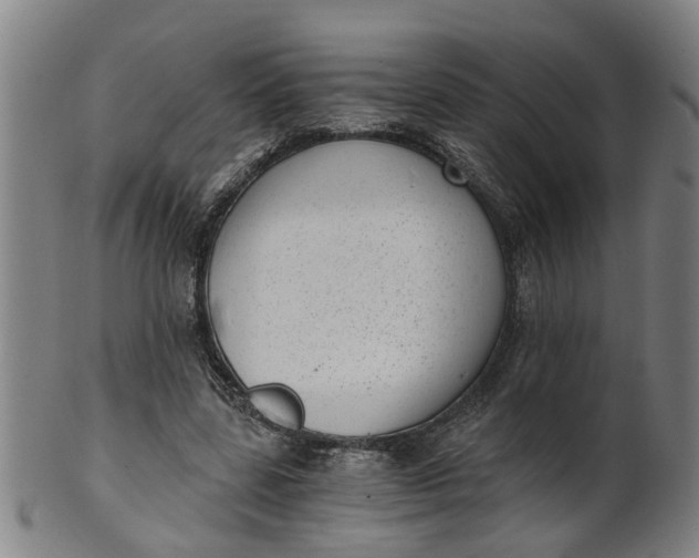 X0000101650539200807241357