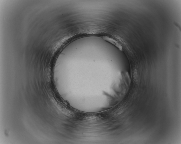 X0000101650540200807241357