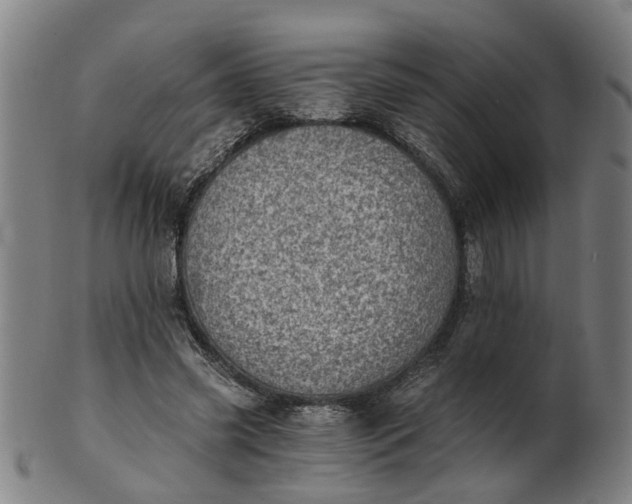 X0000101650541200807241357