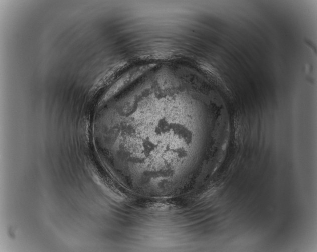 X0000101650542200807241357