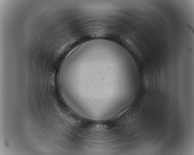 X0000101650543200807241357