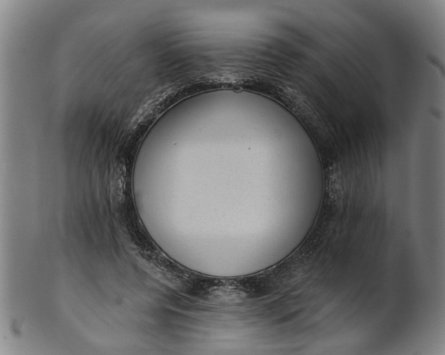 X0000101650544200807241357