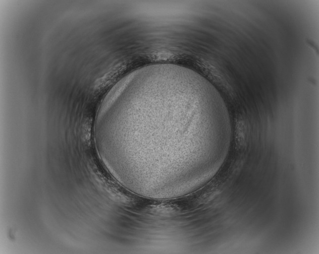 X0000101650545200807241357