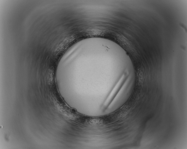 X0000101650546200807241357