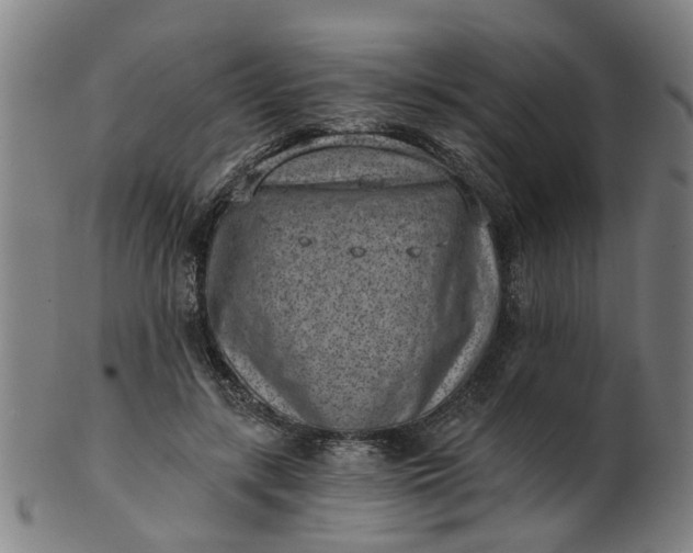 X0000101650547200807241357