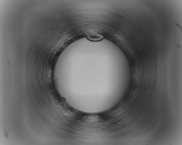 X0000101650548200807241357