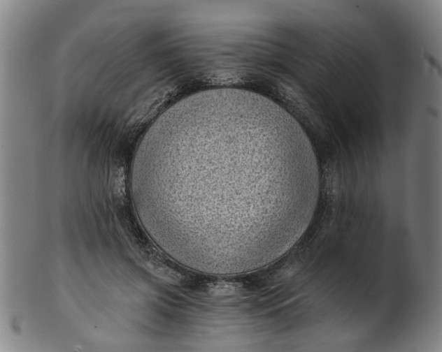 X0000101650549200807241357