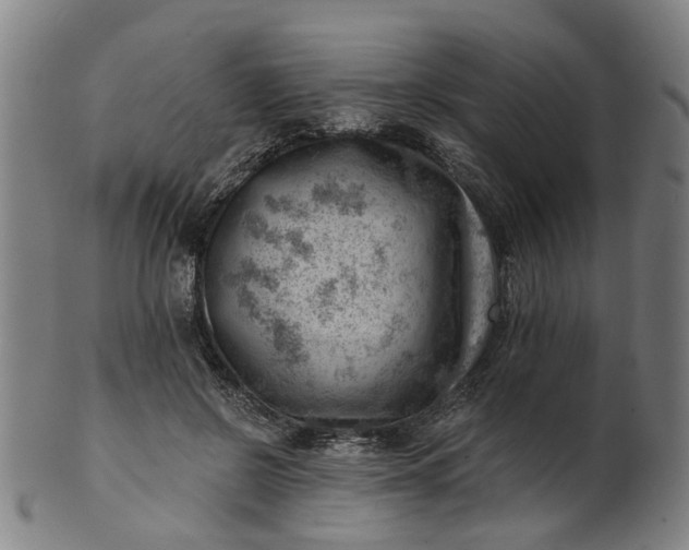 X0000101650550200807241357