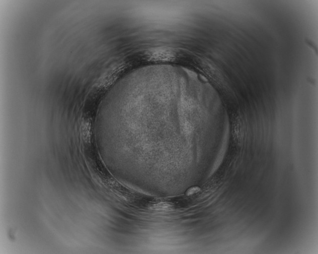 X0000101650551200807241357