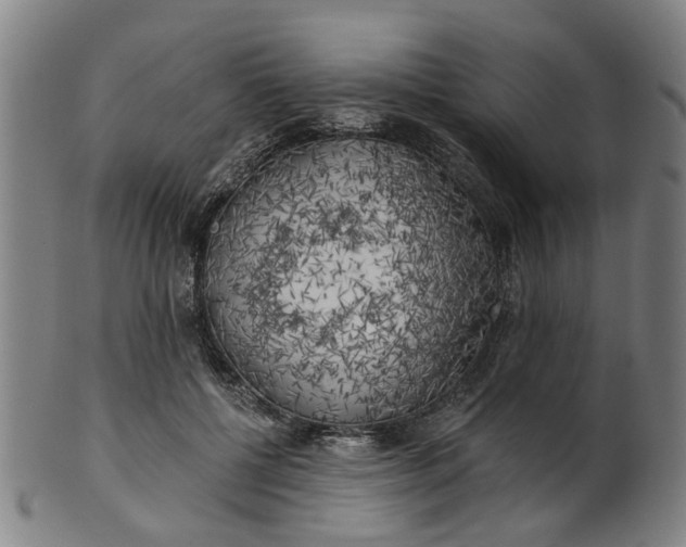 X0000101650552200807241357